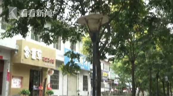 路灯触电视频，点亮城市的新视界