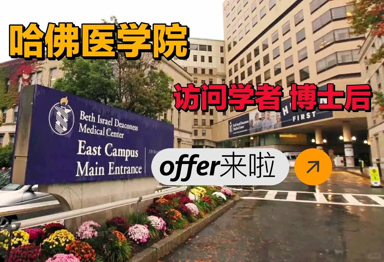 揭秘哈佛医学院所在地，波士顿的魅力与传奇