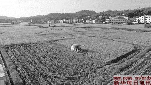 山东一地惊现危废填埋场，高标准农田遭遇环境危机