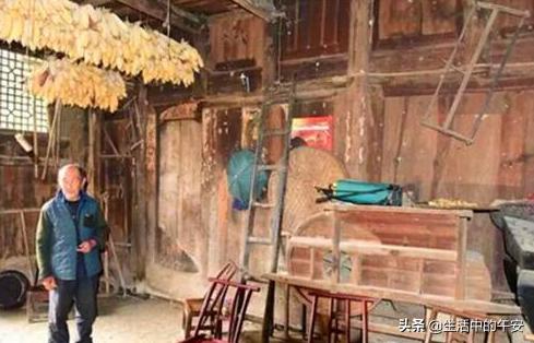 揭秘金丝楠木老屋真相
