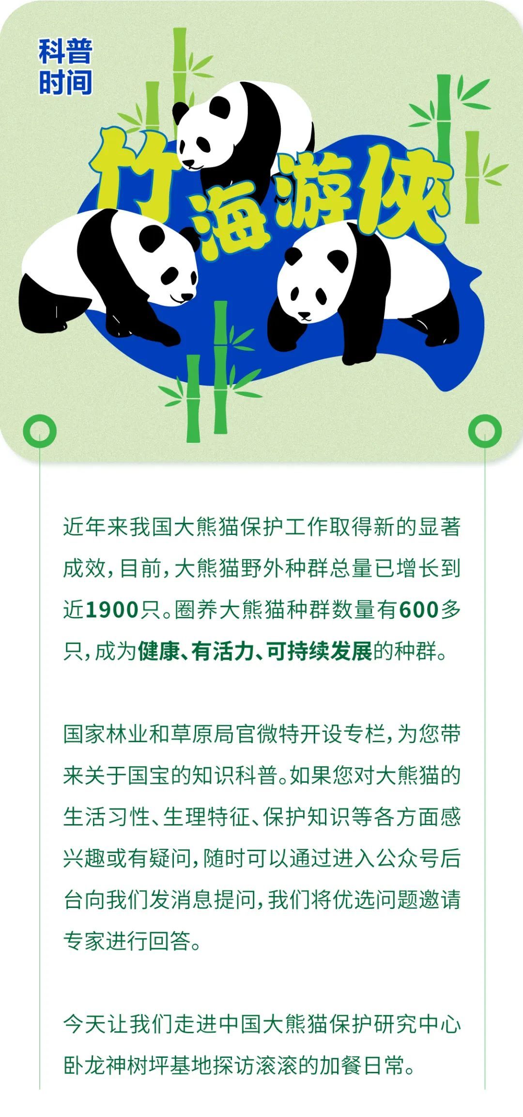 大熊猫捐赠管理办法，守护国宝熊猫的爱心之道