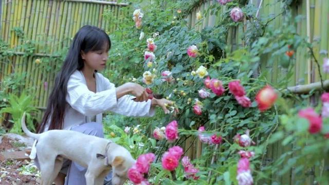 李子柒手制植物印染长裙出圈，传统工艺与现代风尚的完美结合