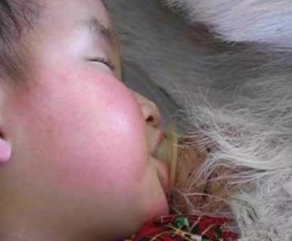 坐飞机儿童票比成人票还贵合理吗？深度解析航空票务机制