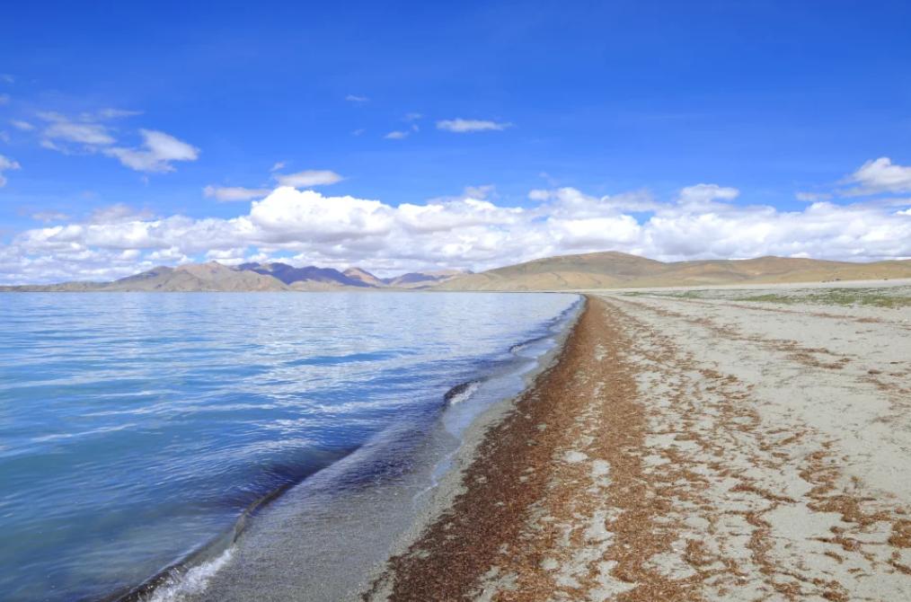 男子湖畔遭遇蛇咬惊魂记