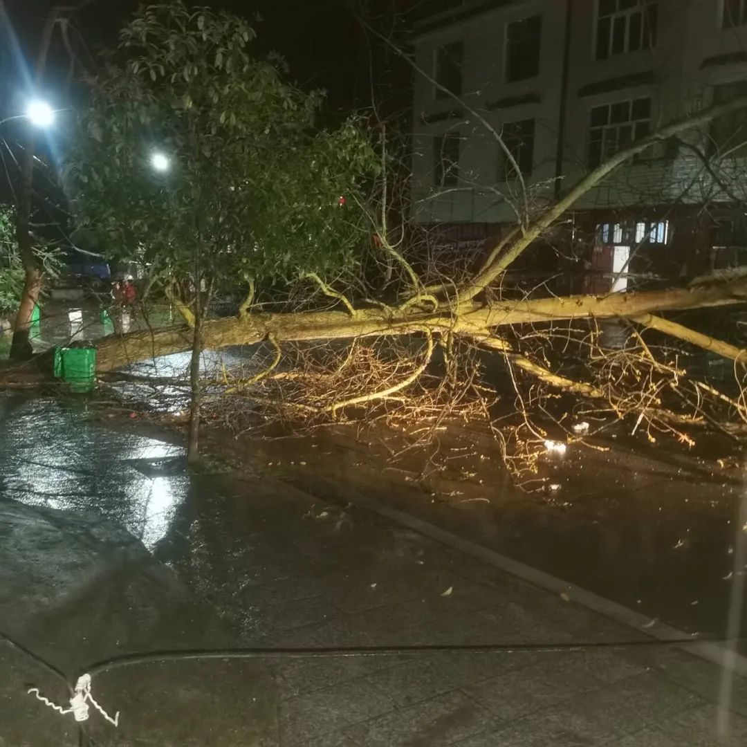 风暴预警，多地即将遭遇罕见雷暴大风天气，等级高达八级以上