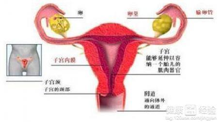 印度女工因担忧月经影响收入，竟选择摘除子宫——社会与文化的交织问题