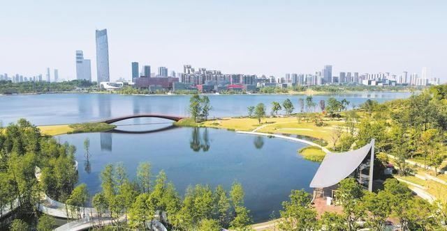 我国网络文明建设取得新成效