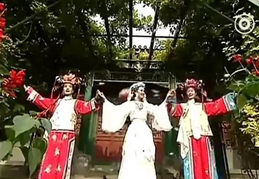 蝴蝶效应与光头台风，一场风云变幻的解读