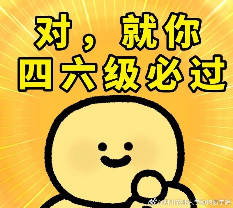 六级，挑战与突破