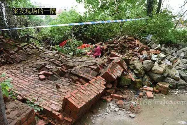 围墙倒塌砸死祖孙俩，悲剧背后的警示与思考