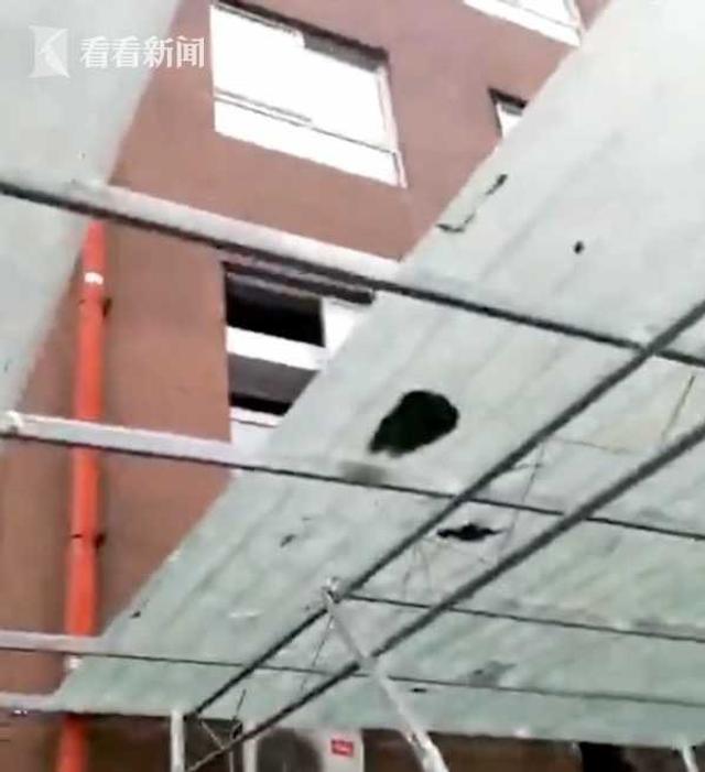 六岁女童翻出二十一楼的惊喜之旅，家庭的温情与安全的深思