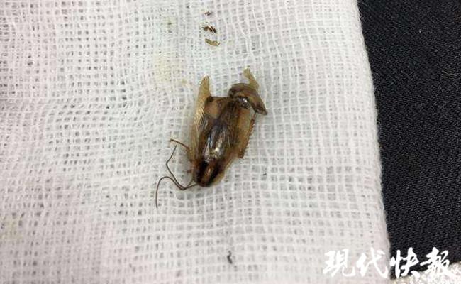 娱乐生活 第125页